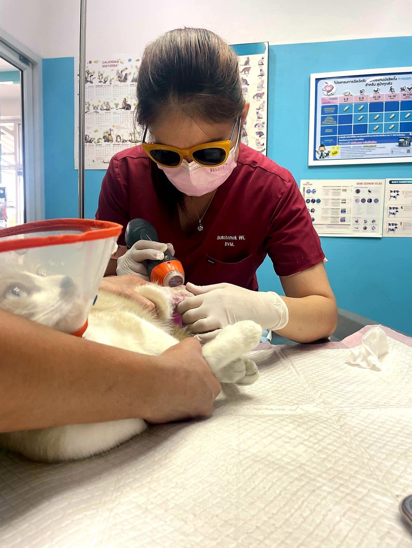 Rangsiyanon Animal Hospital gallery 4