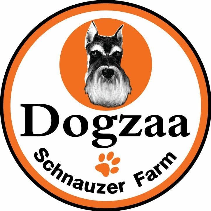 Schnauzer Farm