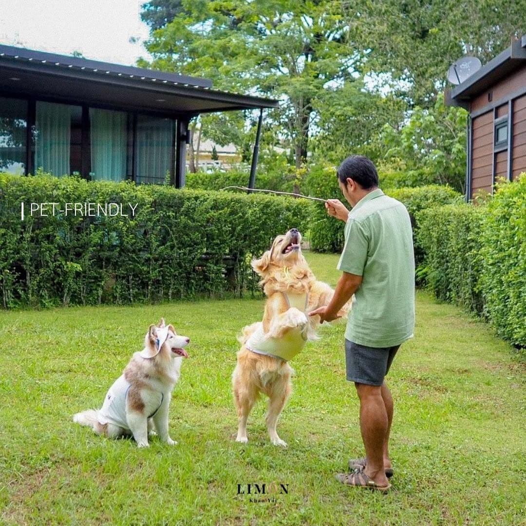 Limon Villa Khao Yai gallery 5