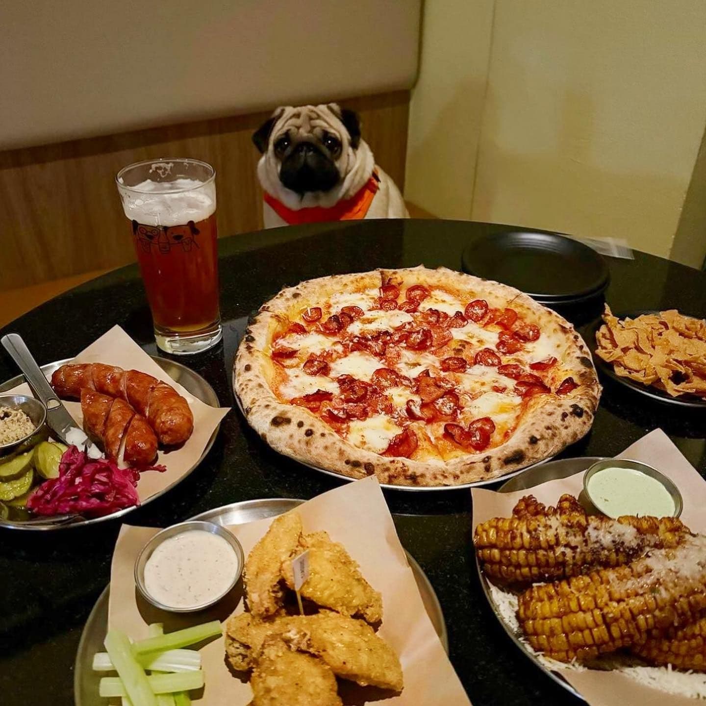 Hazy Hound : Italian Izakaya