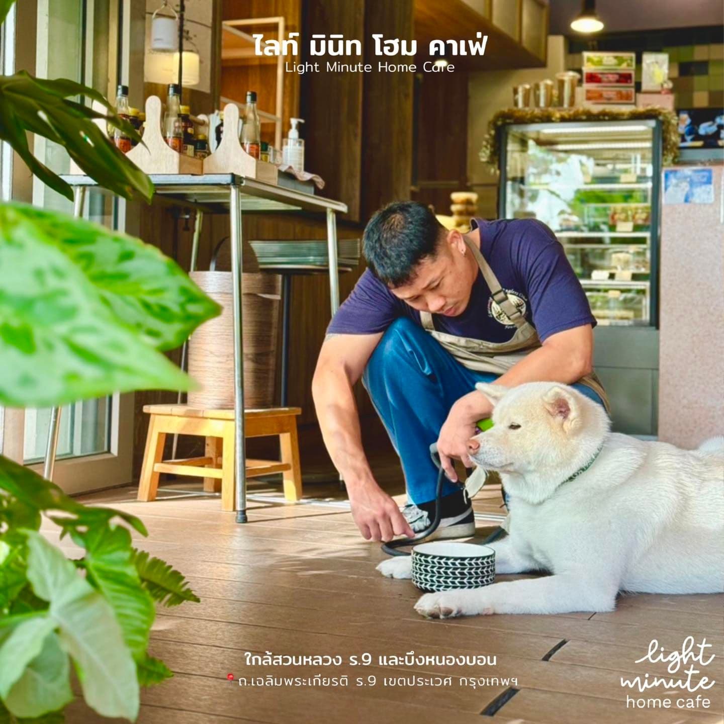 Light Minute Home Cafe gallery 13