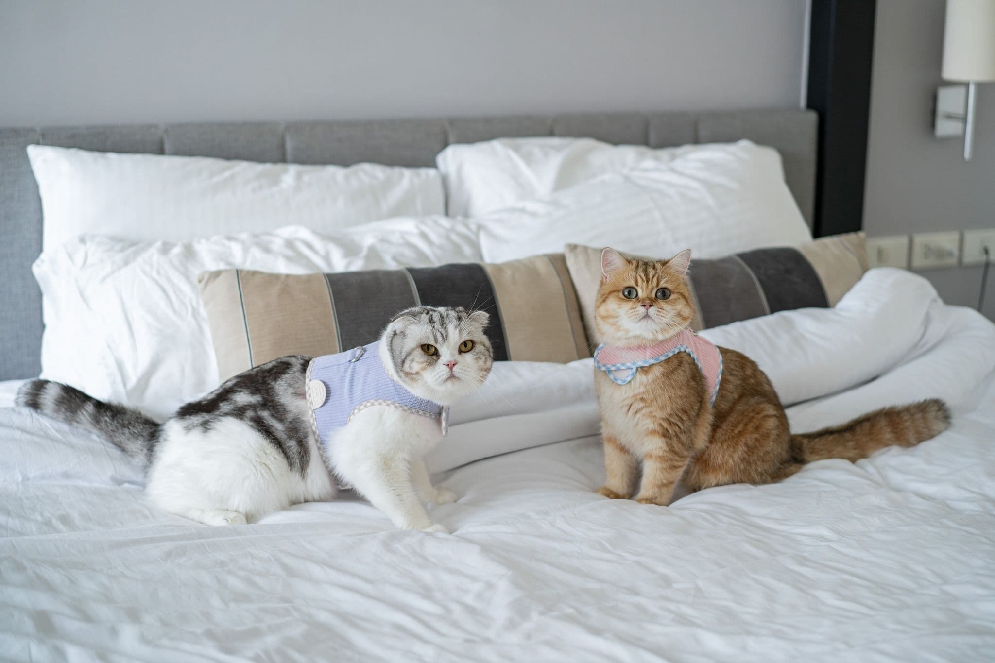 Somerset Park Suanplu Bangkok