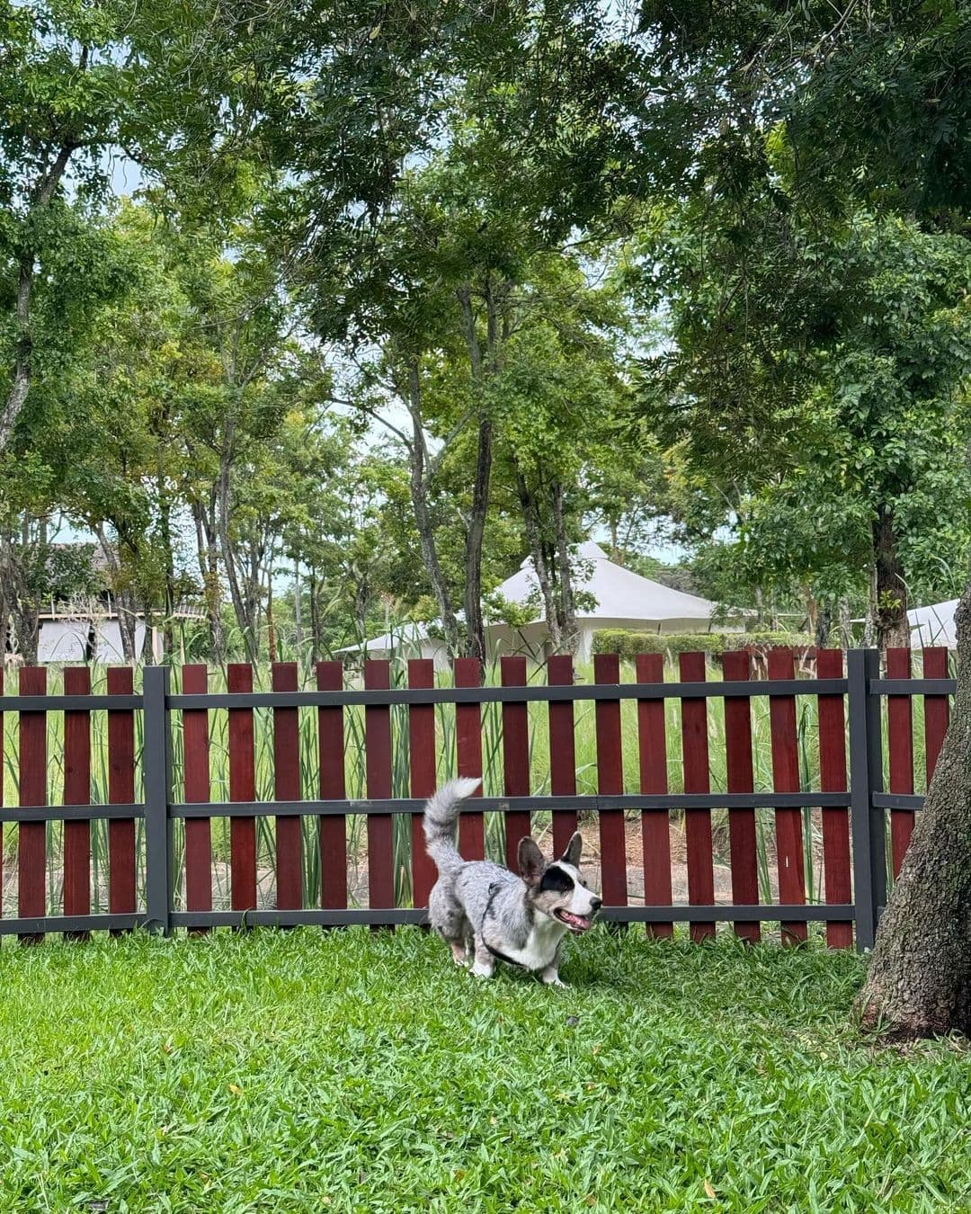 Kirimaya Khao Yai gallery 4