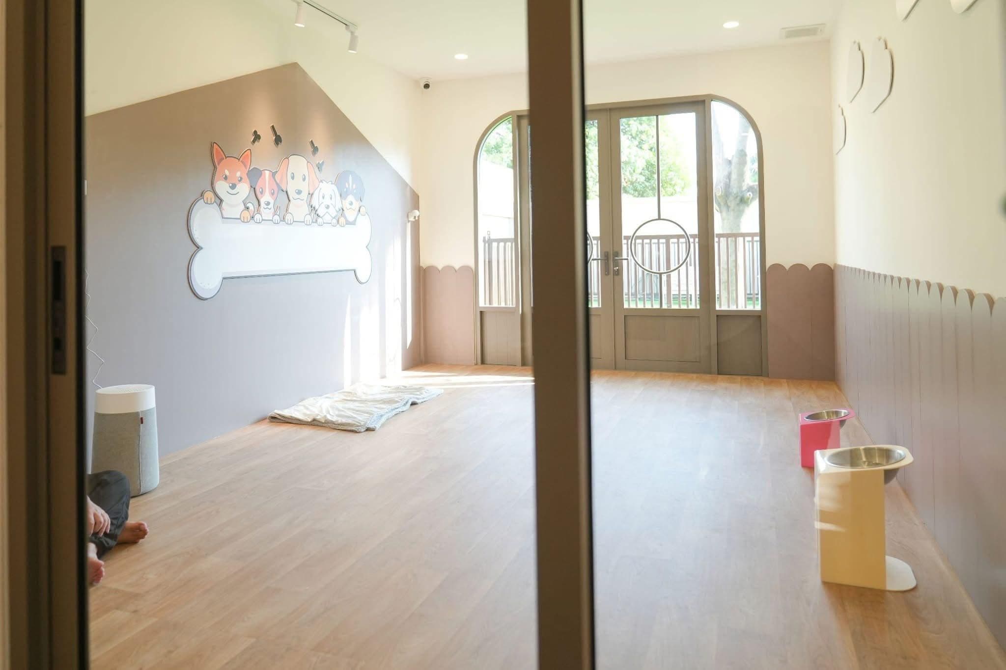 House Of Paws gallery 5