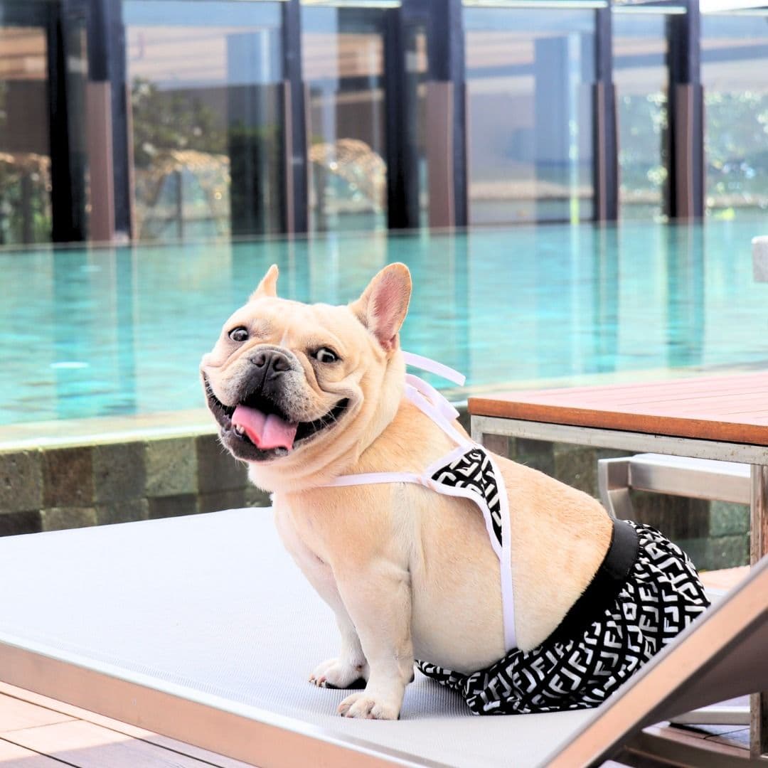 Renaissance Pattaya Resort & Spa gallery 6