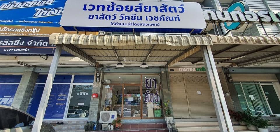 คุณหมีรักษาสัตว์ image 2