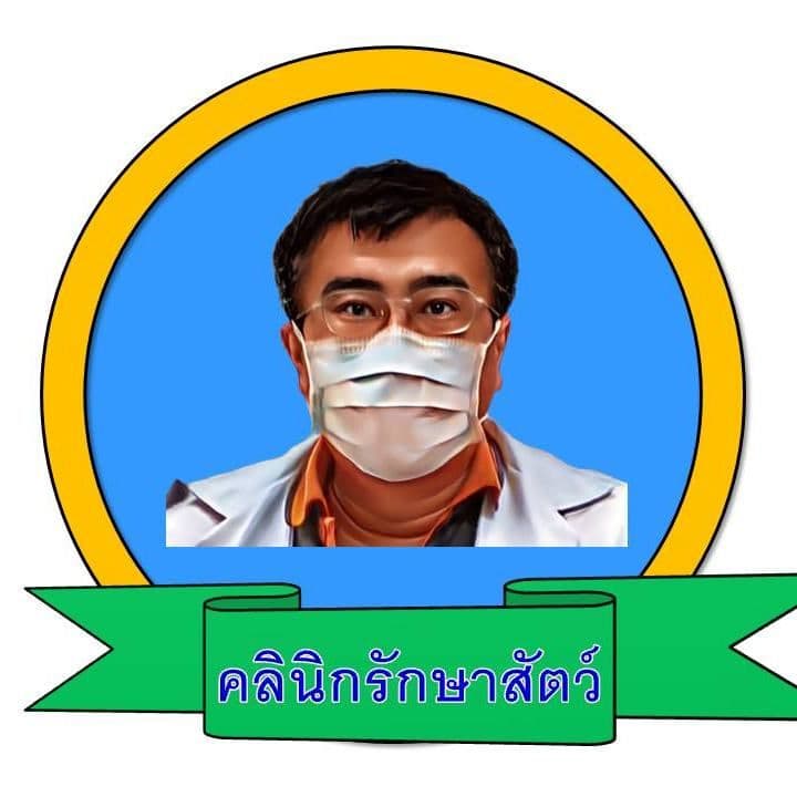 คุณหมอเรืองทอง คลีนิกรักษาสัตว์