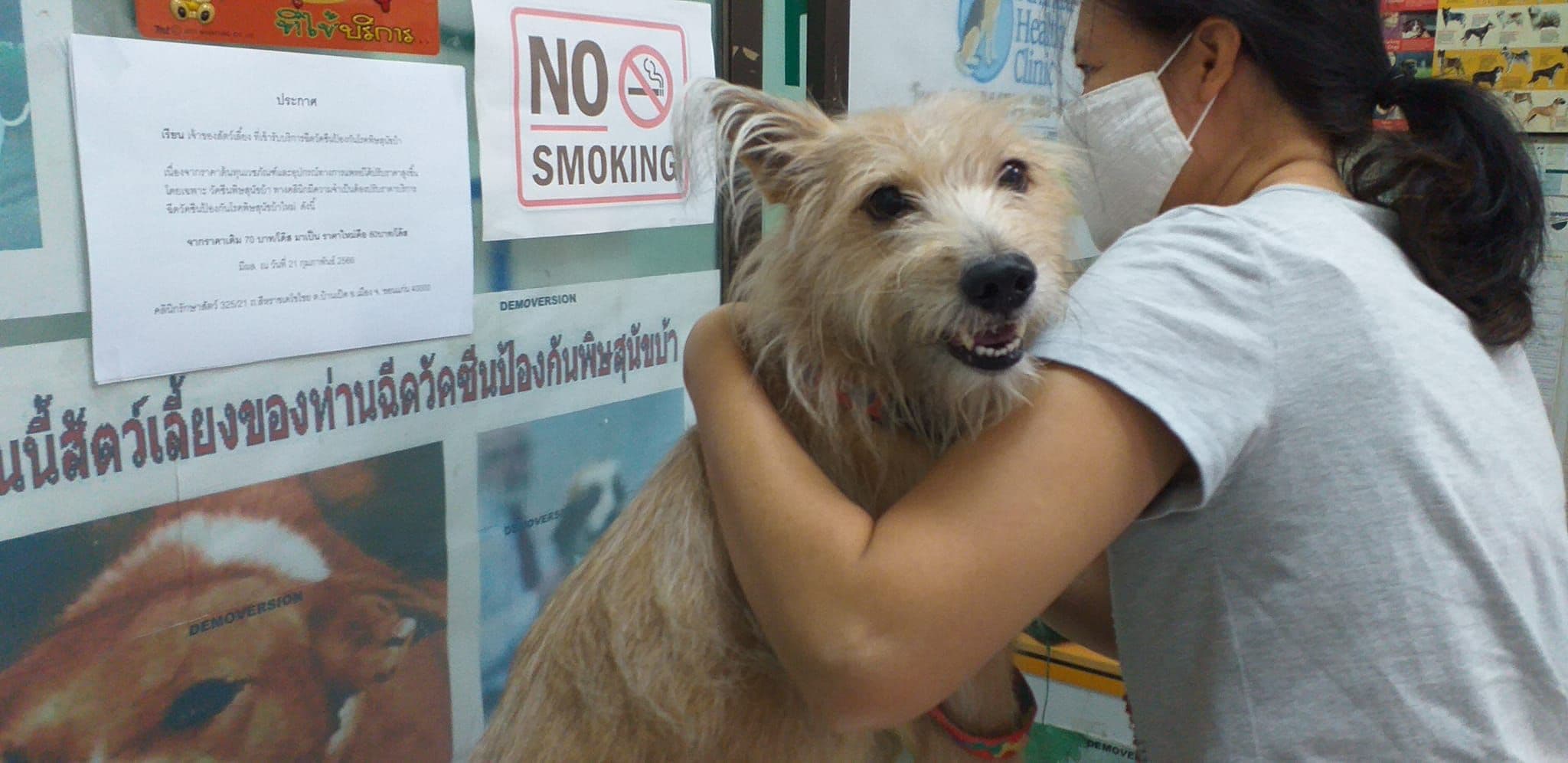 คุณหมอเรืองทอง คลีนิกรักษาสัตว์ image 2