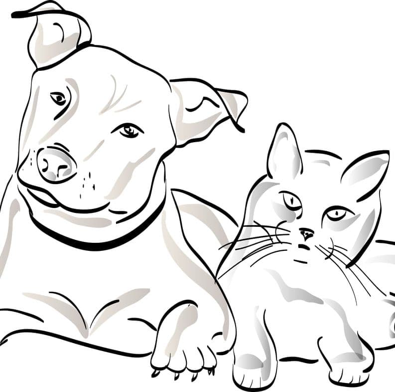 รัตน์สัตวแพทย์