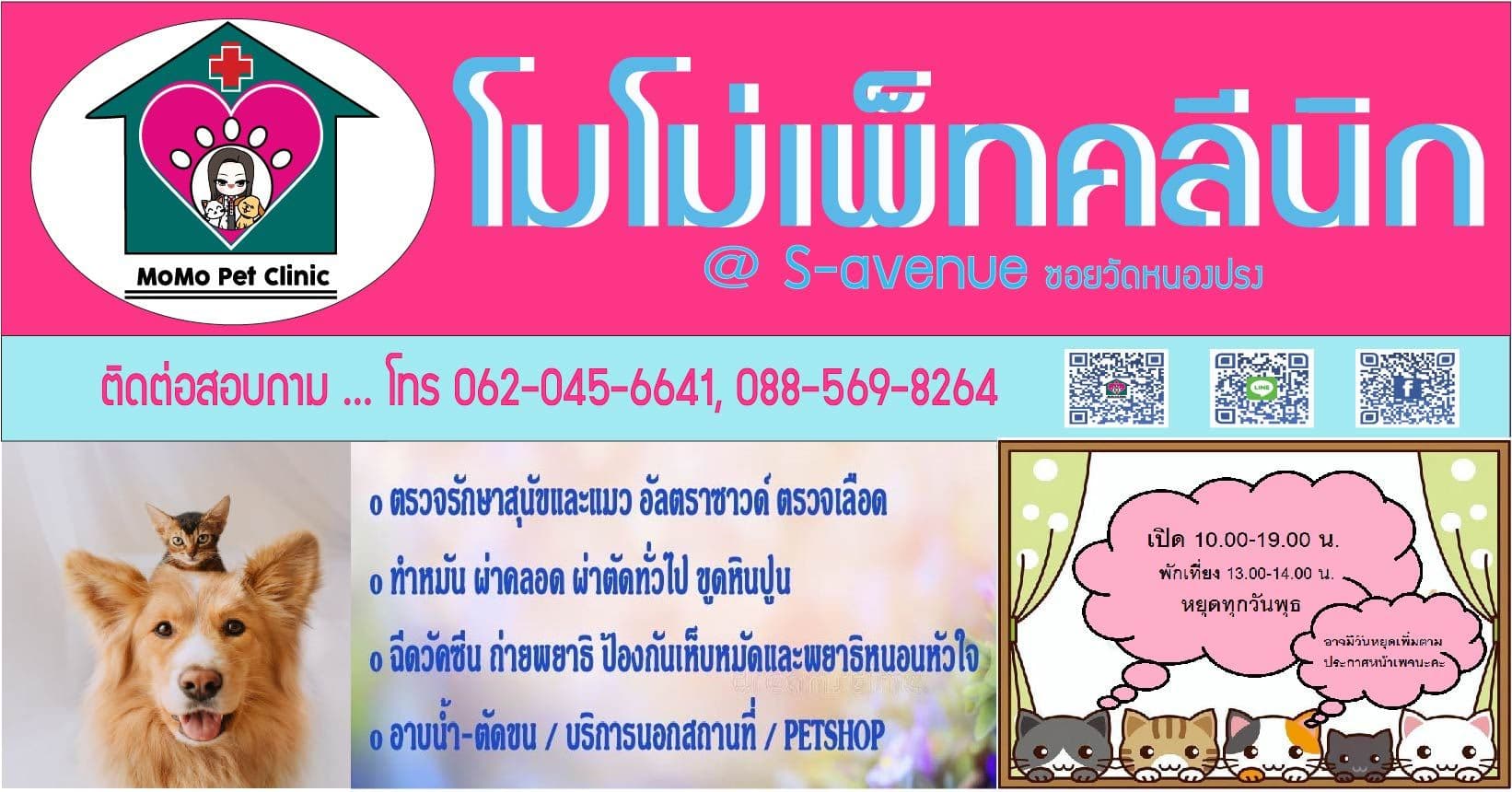 MoMo Pet clinic image 2