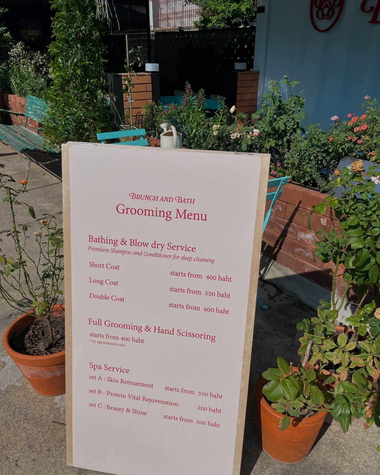 Brunch and Bath Pet Grooming