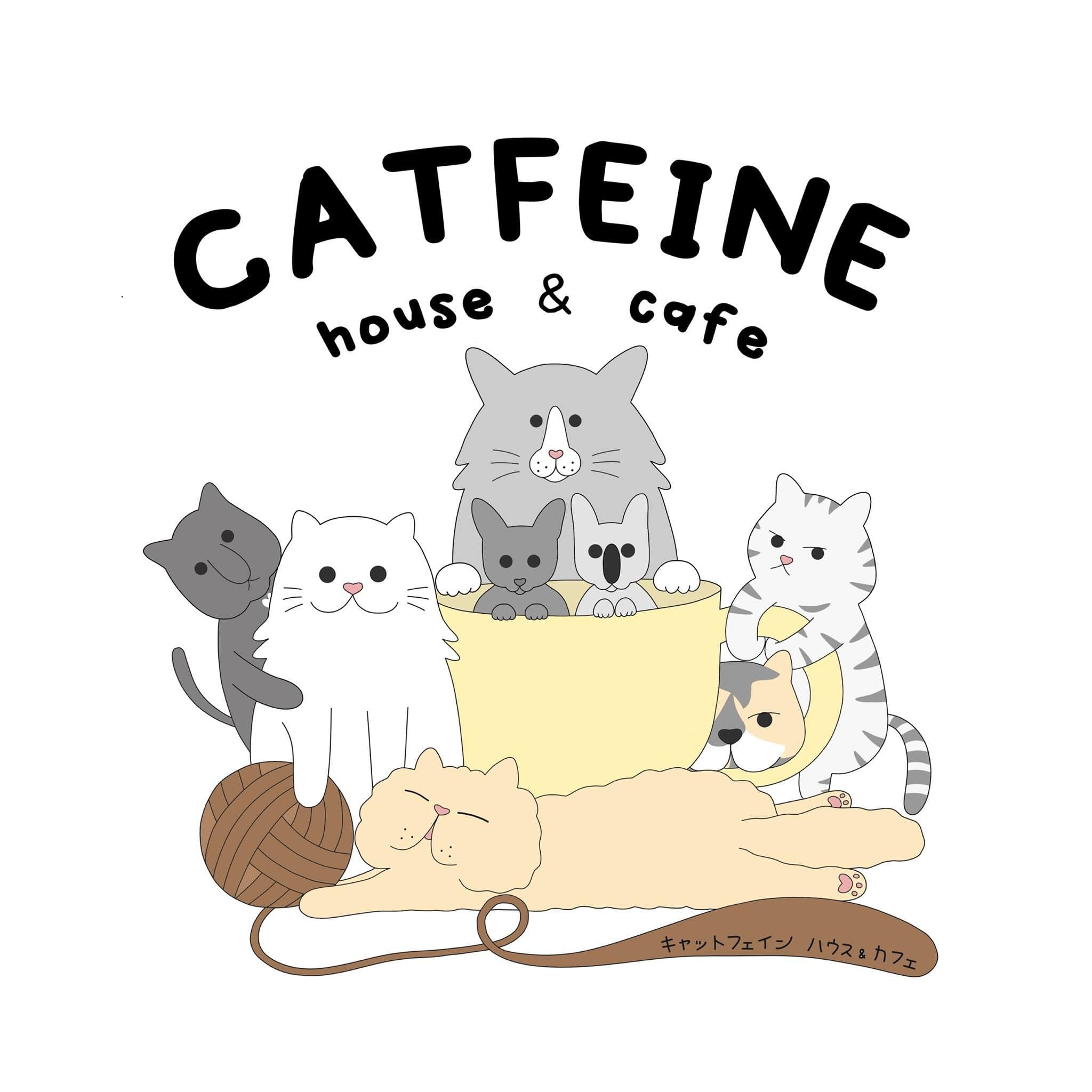 Catfeine house & cafe