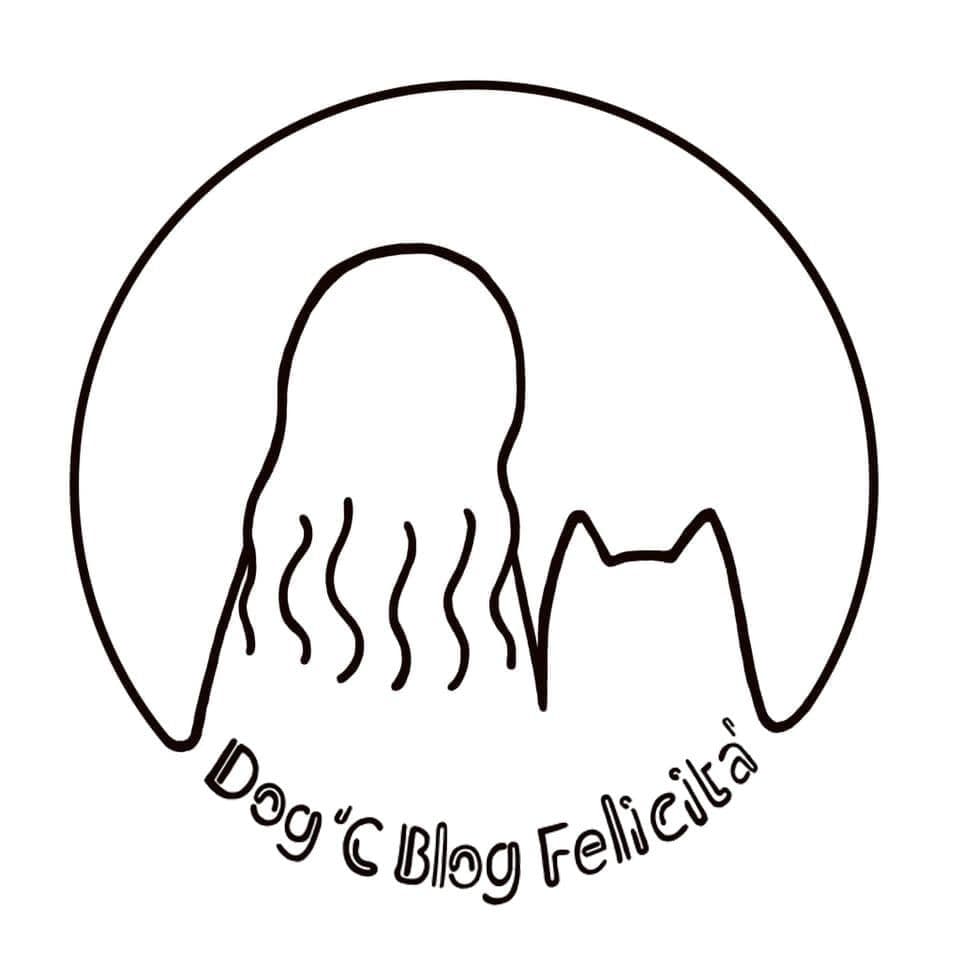 Dog'C​ Blog​ Felicita'