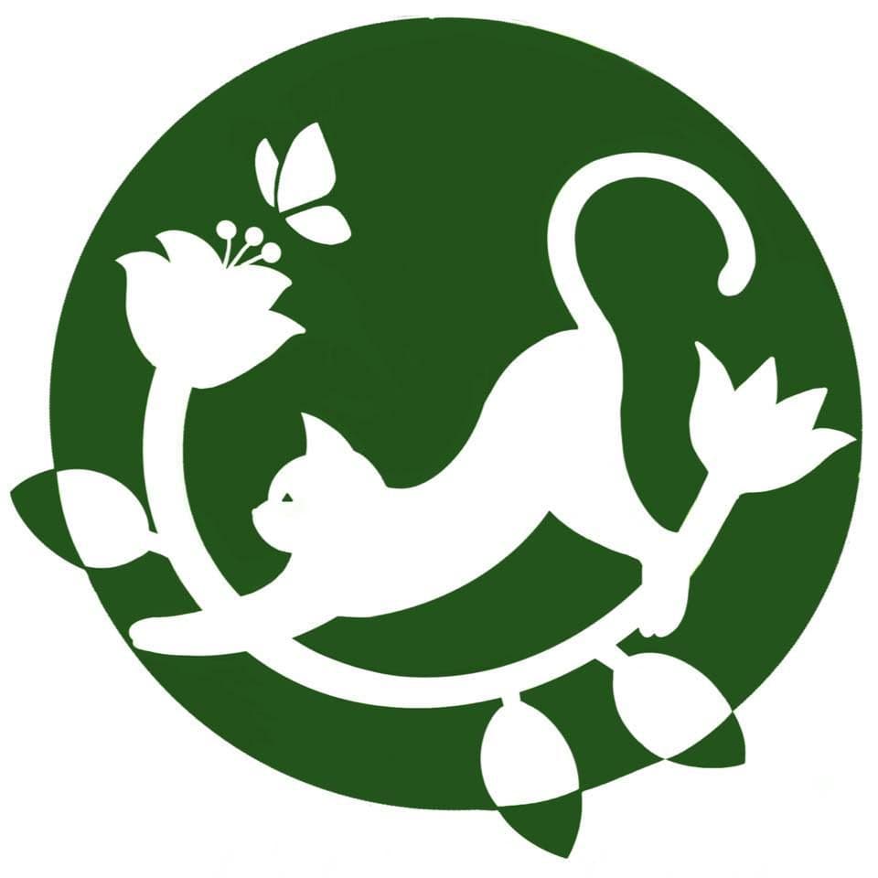 Cat in the forest cafe