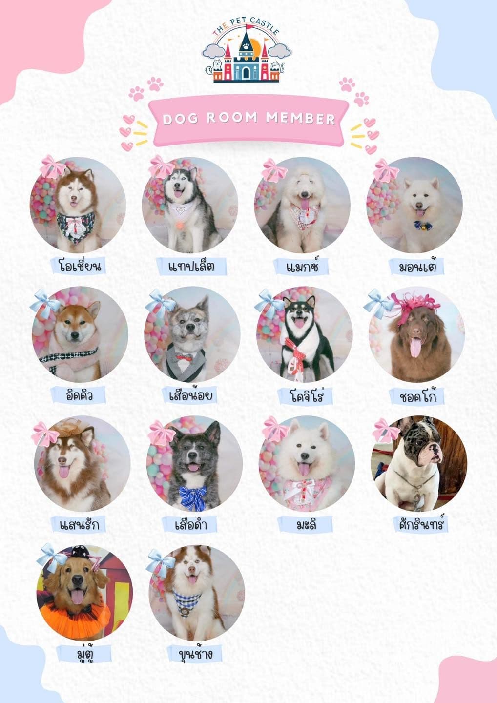 The Pet Castle gallery 6