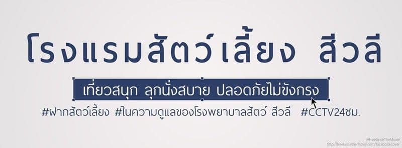 โรงพยาบาลสัตว์สีวลี image 2