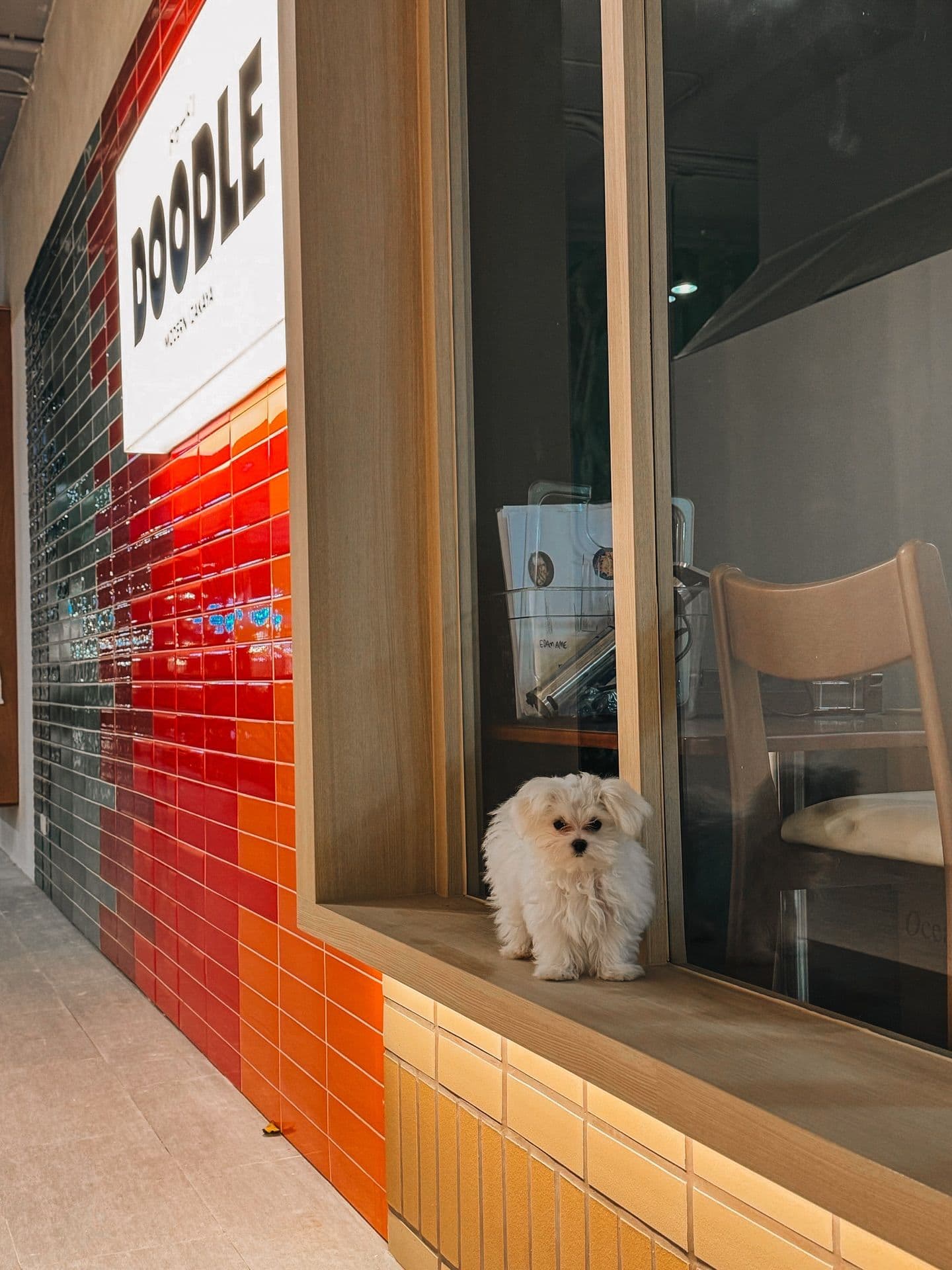Doodle Izakaya (Bangna) gallery 5
