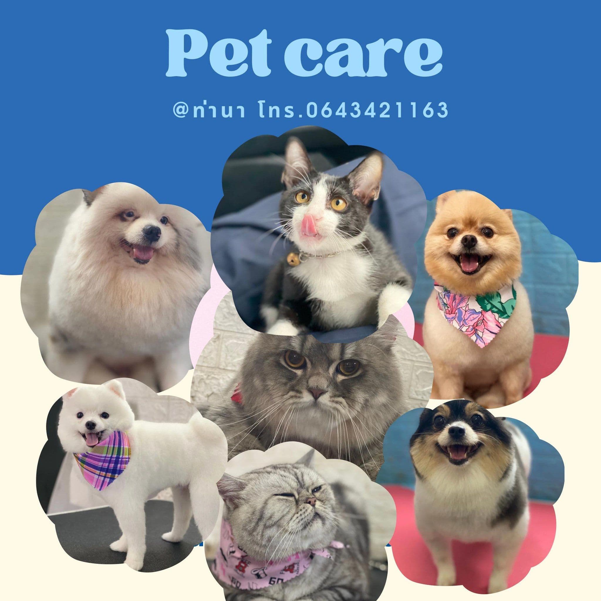 PetCare at thana