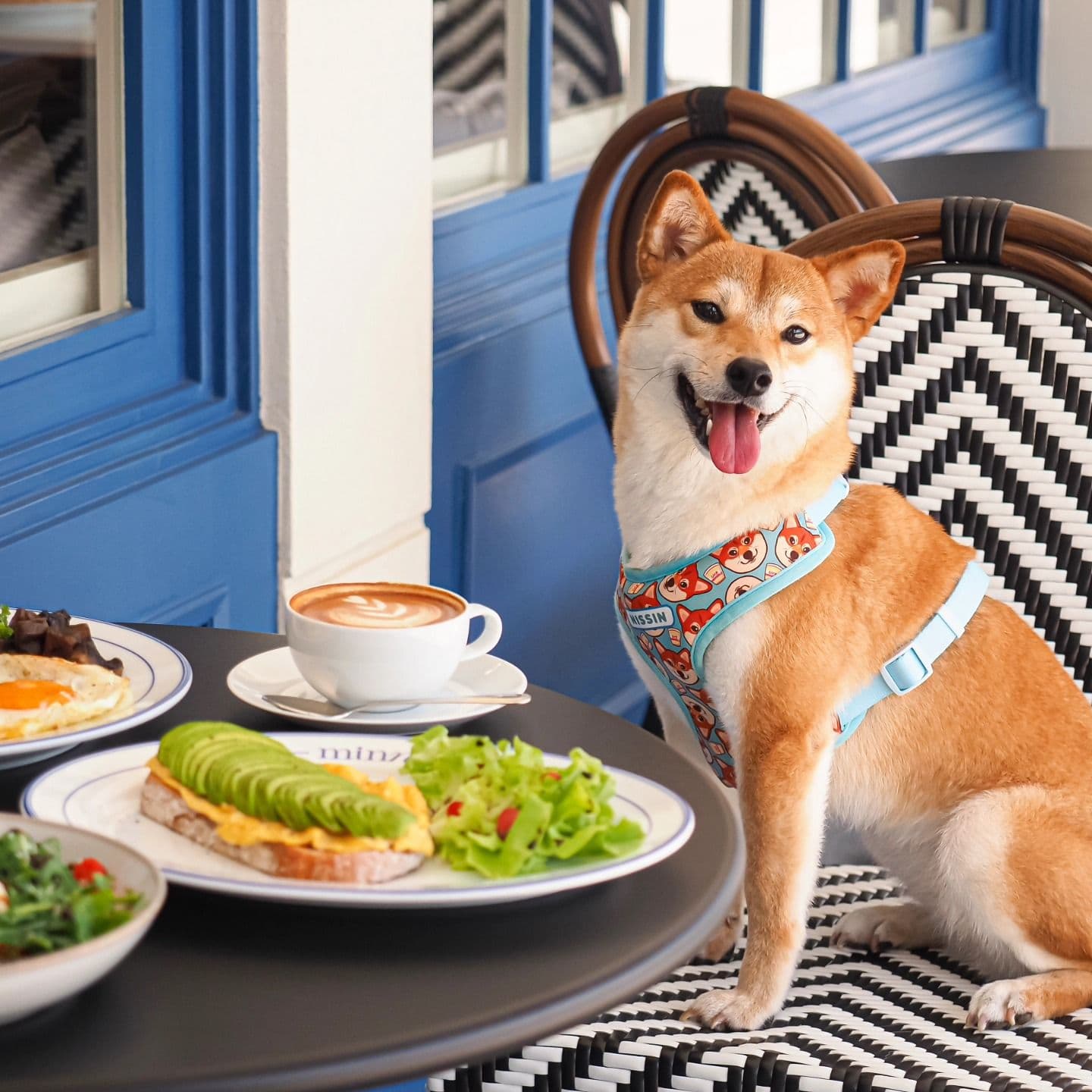 Minnie's All Day Brunch gallery 4