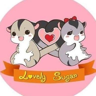 เลิฟลี่พัทยา​