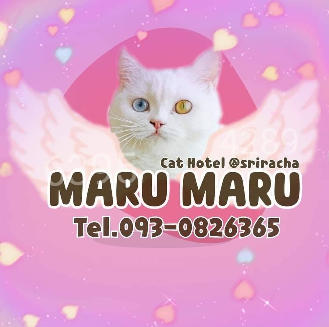Maru Maru Cat Hotel