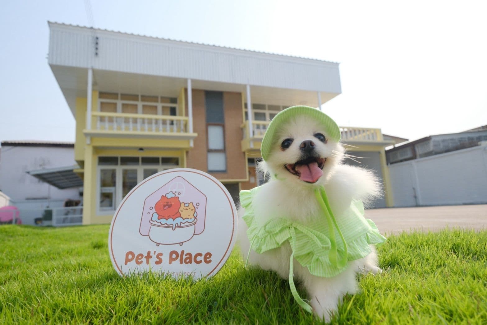 Pet's Place - Grooming Spa & Salon