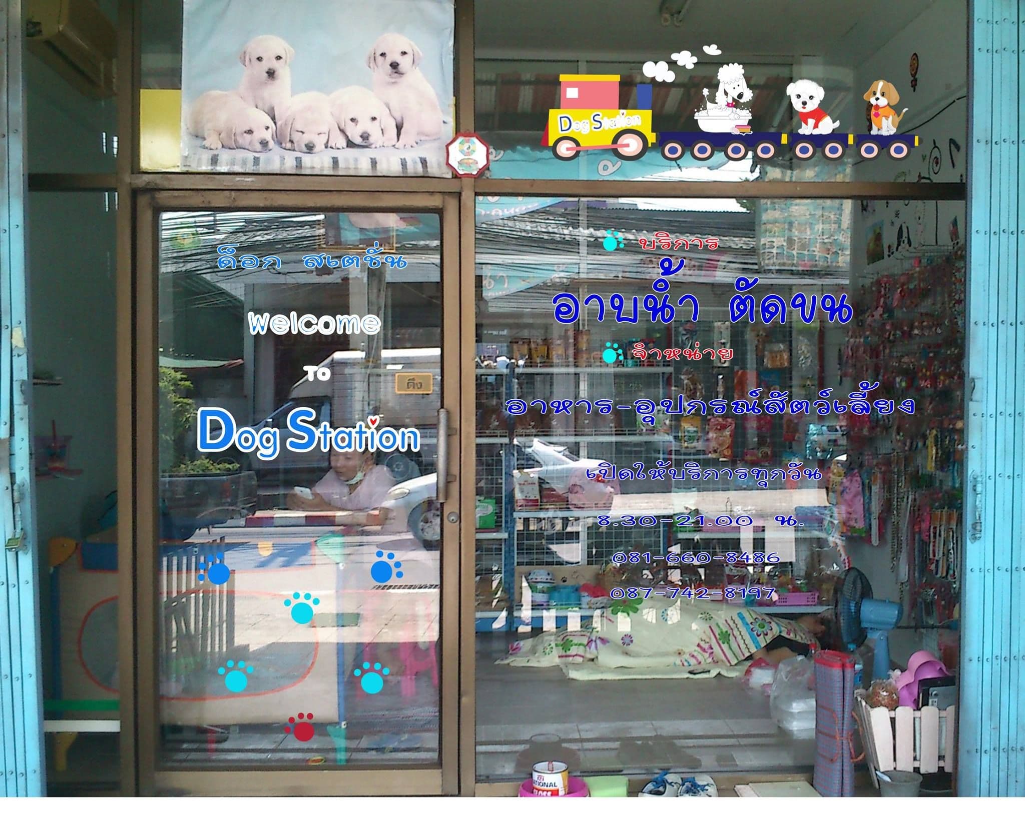 D Dog Station image 2