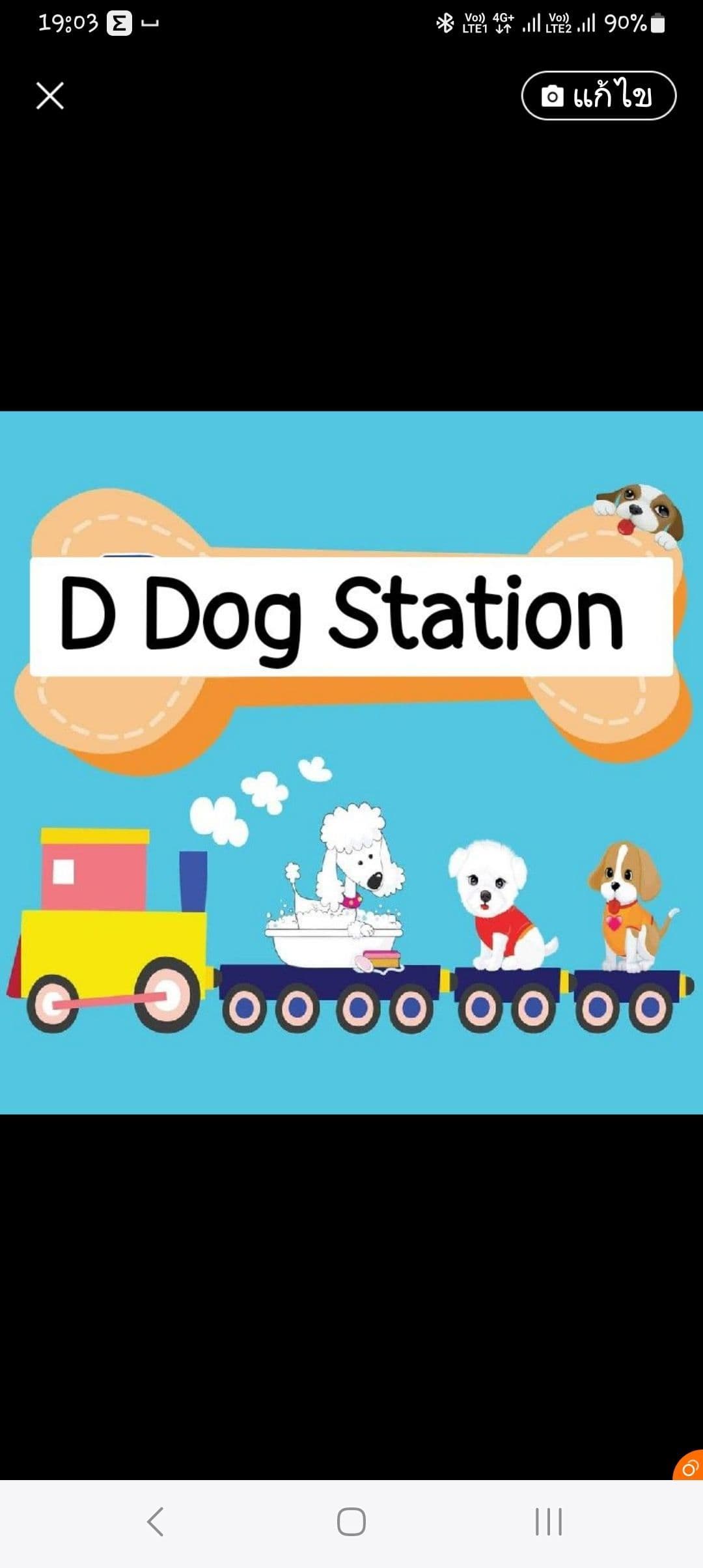 D Dog Station