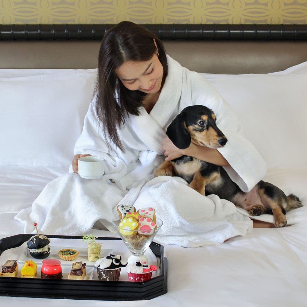 Sheraton Grande Sukhumvit Hotel Bangkok