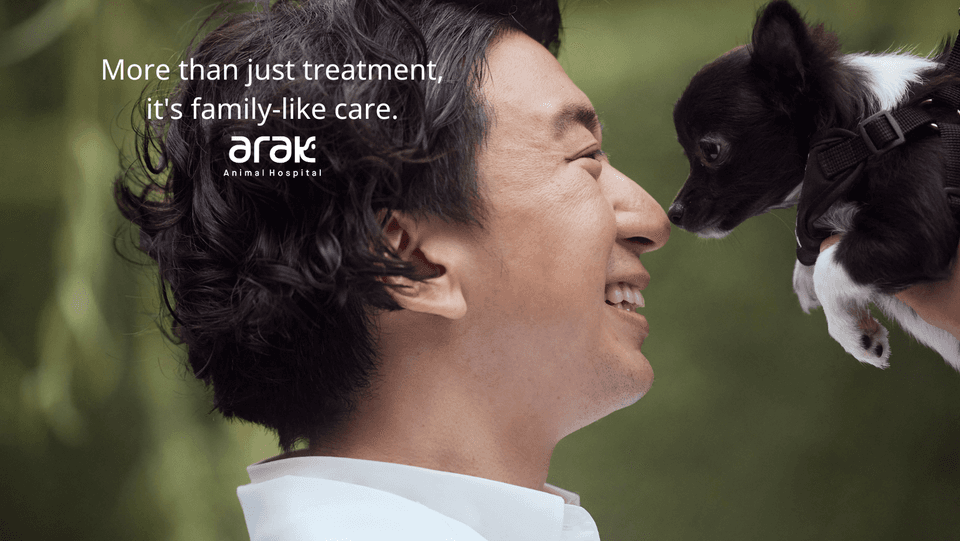 Arak Animal Hospital Thonglor image 2