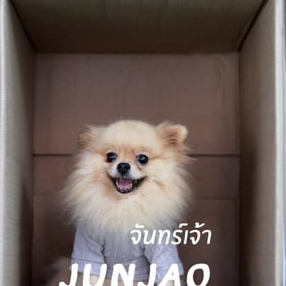 Water Milk Fruit • Dog & Game gallery 23