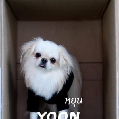 Water Milk Fruit • Dog & Game image 3