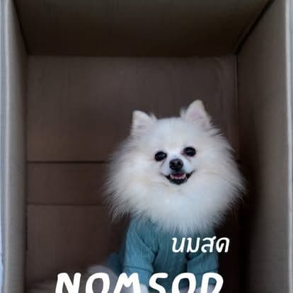 Water Milk Fruit • Dog & Game gallery 17