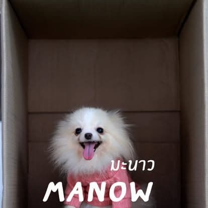 Water Milk Fruit • Dog & Game gallery 9