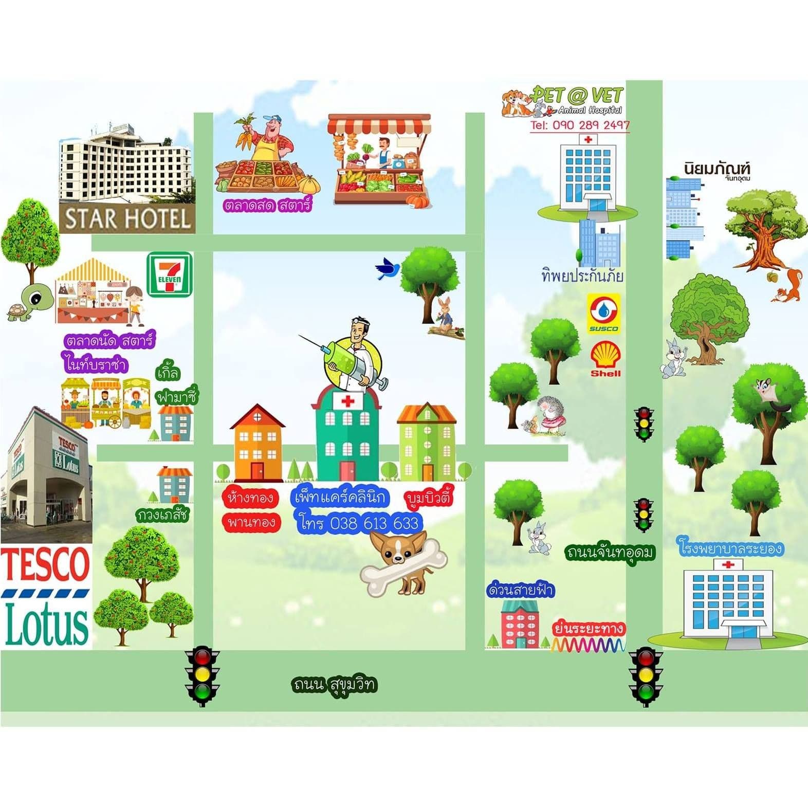 คลินิกเพ็ทแคร์