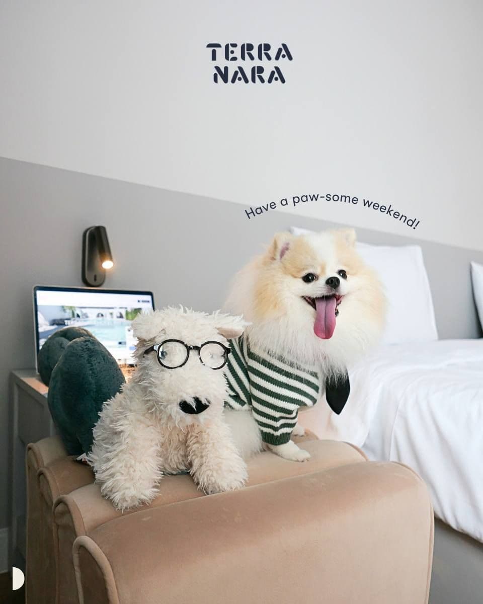 Terra Nara Hotel gallery 6