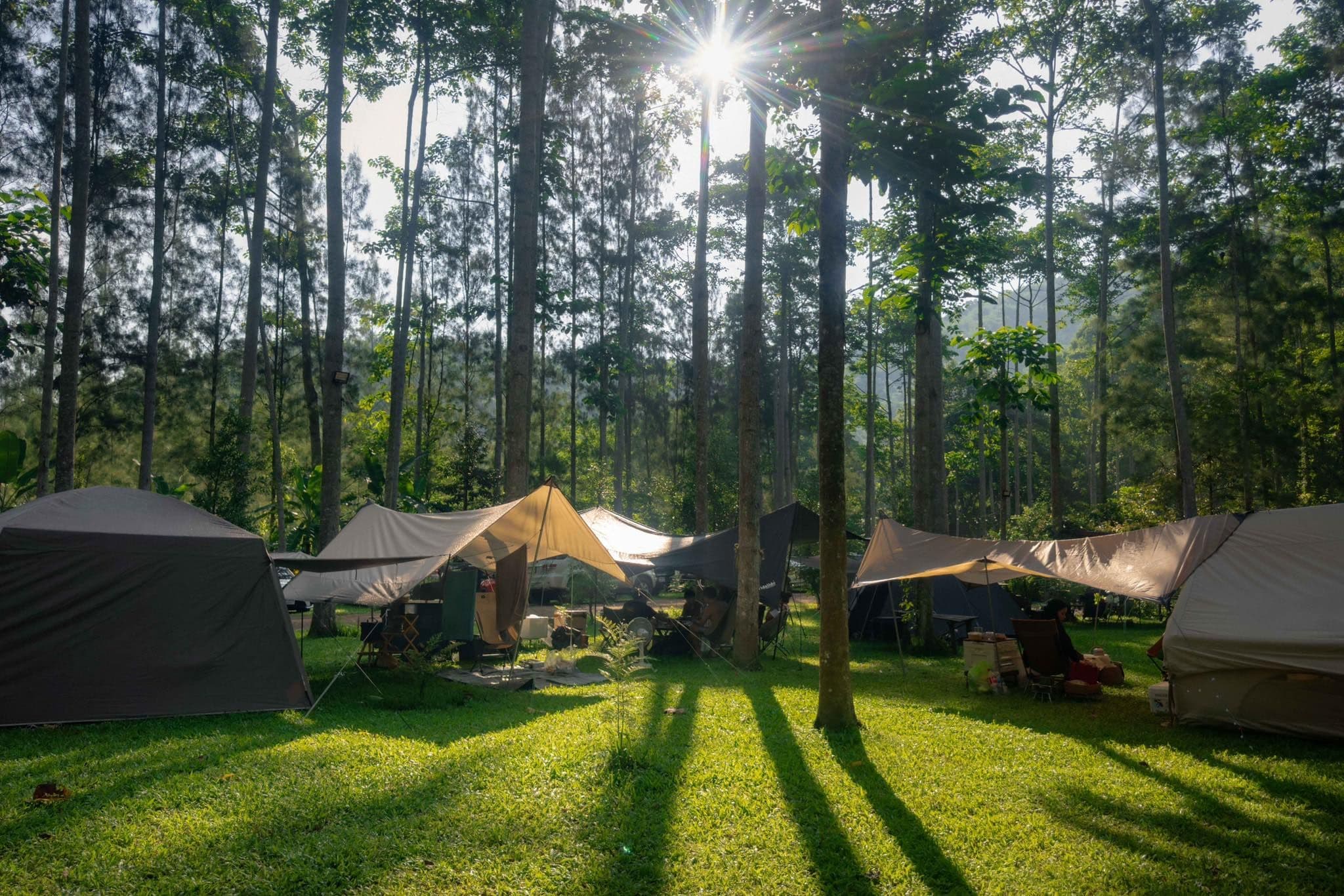 Rimtara Camping image 3