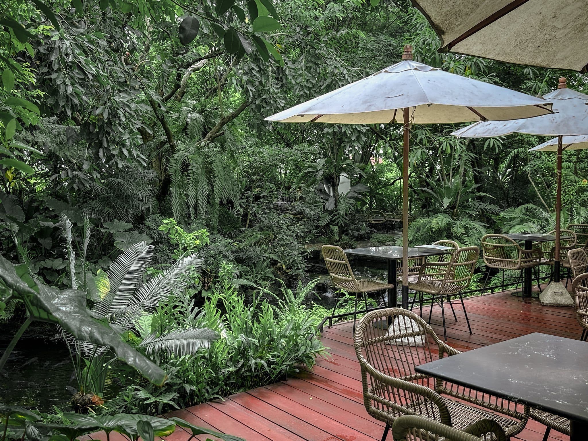 Foreste' cafe by anna nava gallery 7