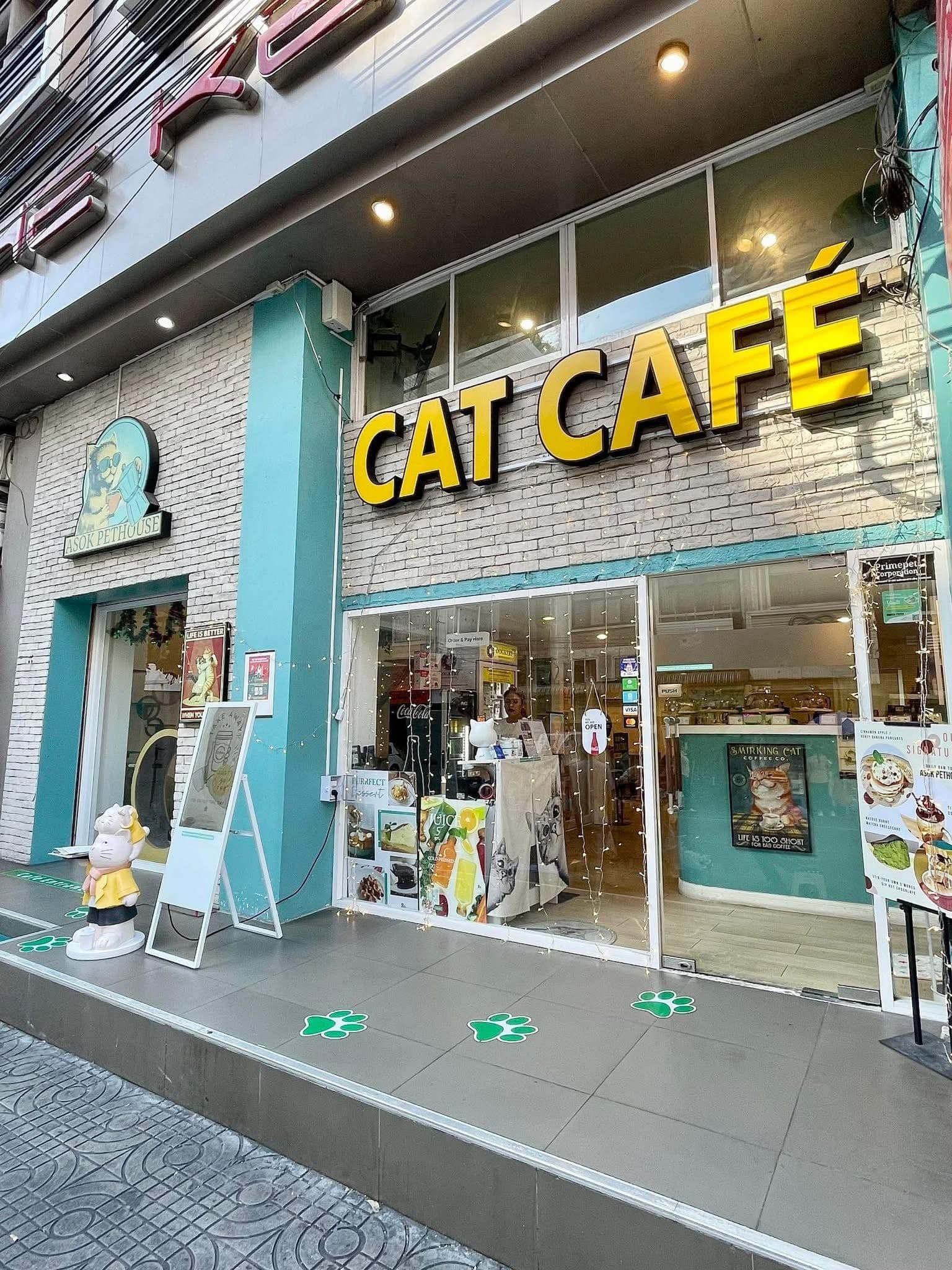 Asok Pethouse Cat Cafe image 2
