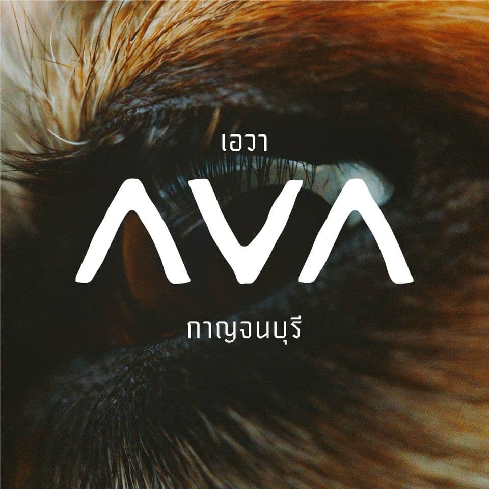 AVA - Kanchanaburi