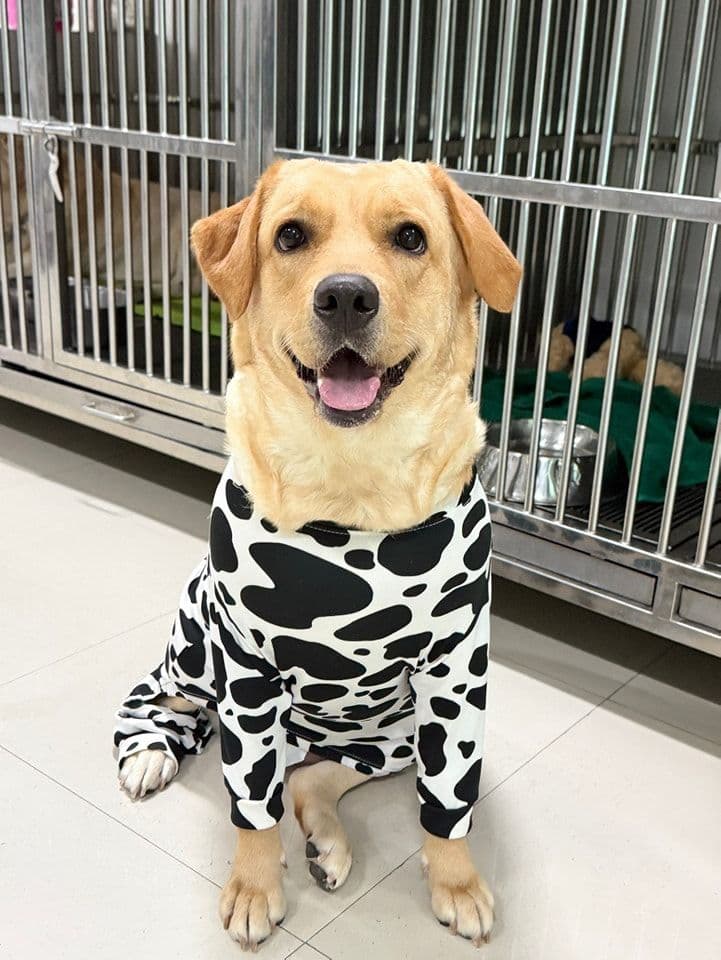 โรงพยาบาลสัตว์ศิรินครินทร์