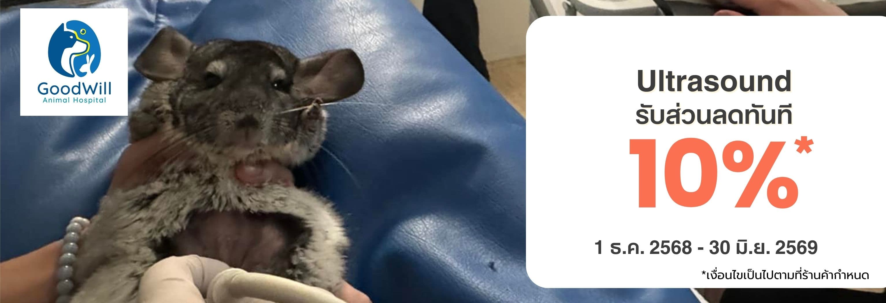 Ultrasound ที่โรงพยาบาลสัตว์ Goodwill ลด 10%