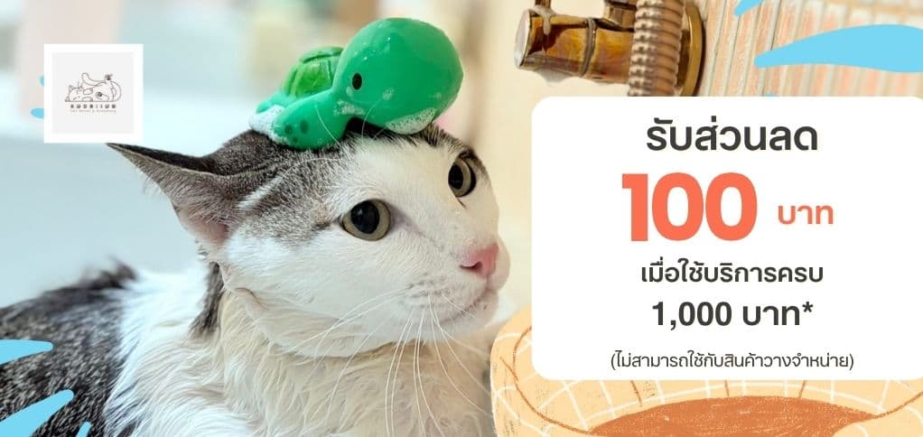 รับส่วนลด 100 บาท เมื่อใช้บริการครบ 1,000 บาท