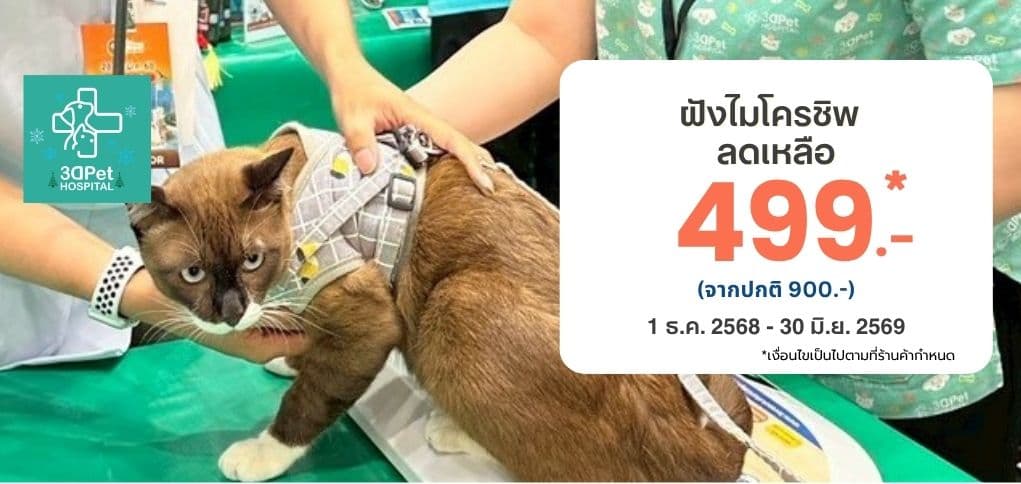 ฝังไมโครชิพราคาพิเศษ 499.- (ปกติ 900.-)