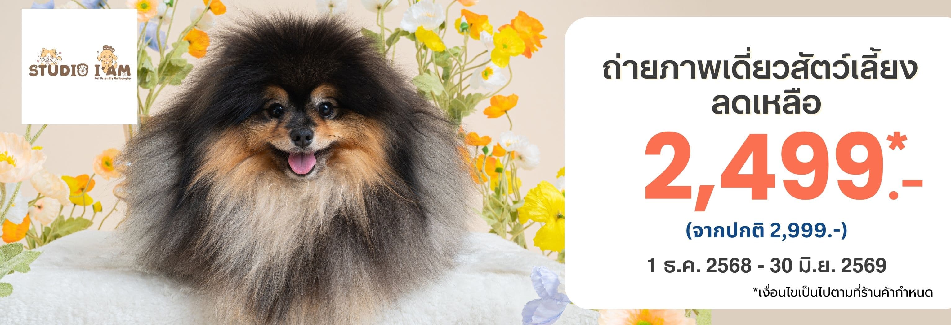 ถ่ายภาพเดี่ยวสัตว์เลี้ยงเซต PAWTRAIT SPECIAL ลดเหลือ 2,499.- จากปกติ 2,999.-