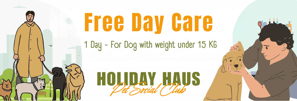 ฝากเลี้ยง 1 วันฟรี