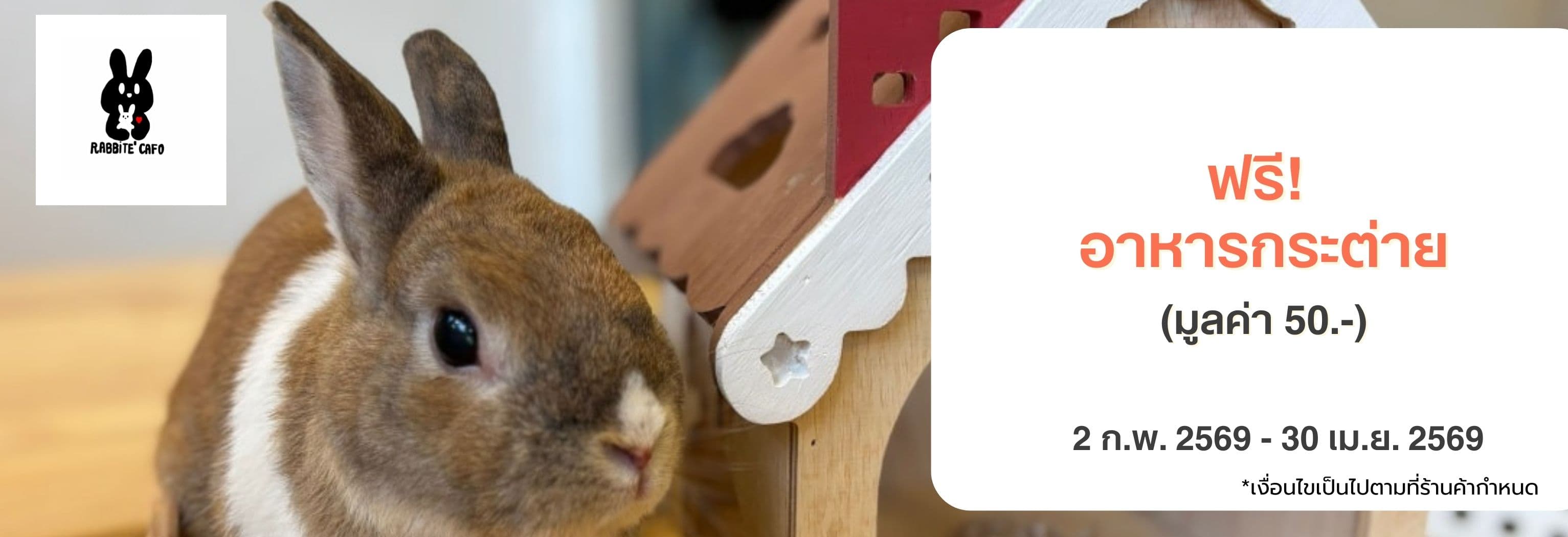 รับอาหารกระต่ายฟรีมูลค่า 50 บาท