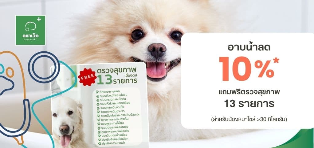 อาบน้ำสุดคุ้ม ลด 10% แถมตรวจสุขภาพ 13 รายการ (เฉพาะ 30 กก. ขึ้นไป)