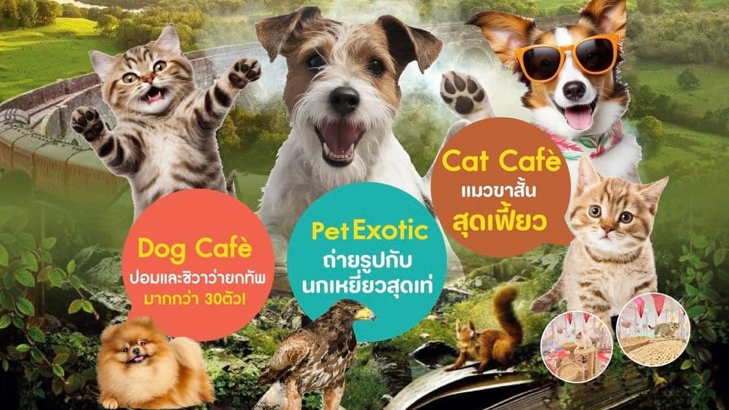 Pawradise & Friends Cafe Zoo