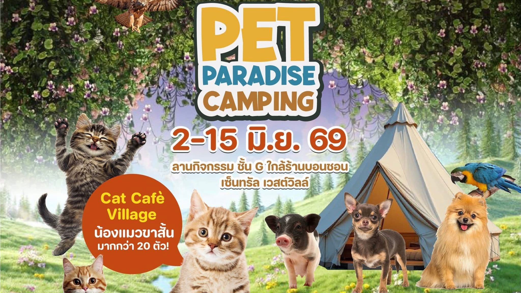 Pet Paradise @ Central Westville